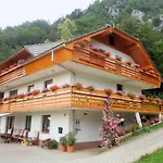 Apartment Fine Zirovnica