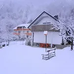 Fine Zirovnica