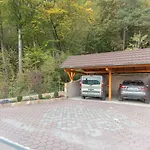 Fine Zirovnica
