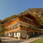 Fine * Zirovnica