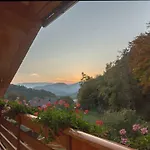 Fine Zirovnica
