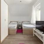 Fine Apartment