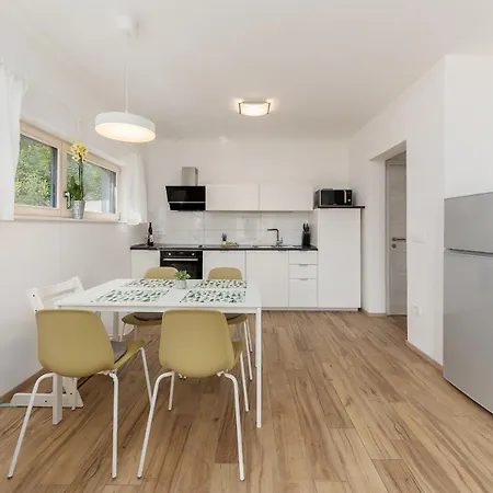Fine Apartment Zirovnica