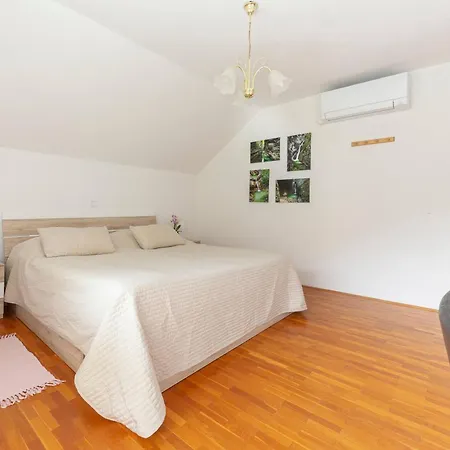 Fine Apartment Zirovnica