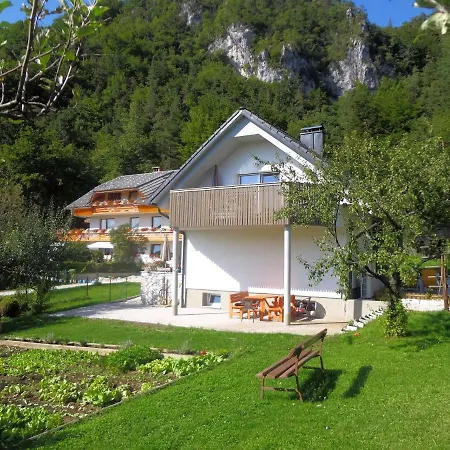 Fine Apartman Zirovnica