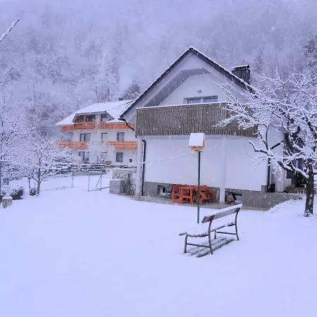 Fine Zirovnica