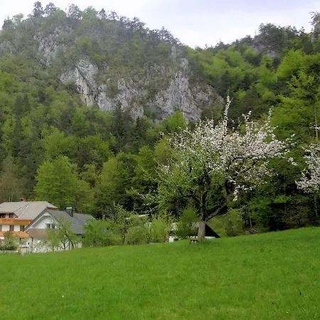Διαμέρισμα Fine Zirovnica