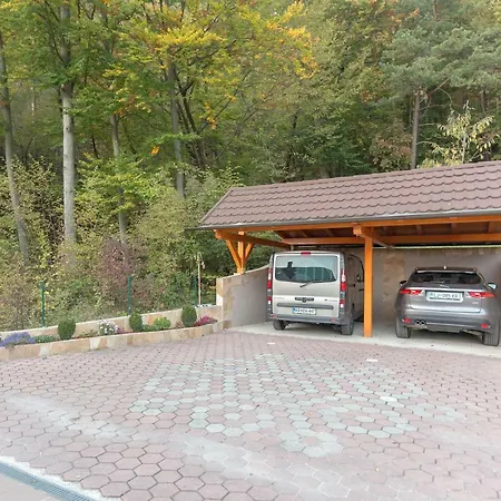 Fine Zirovnica