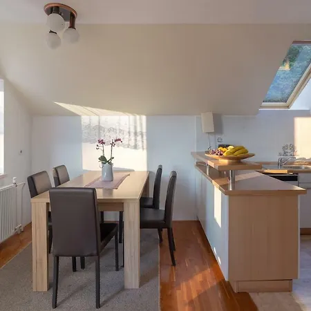 Apartment Fine Zirovnica