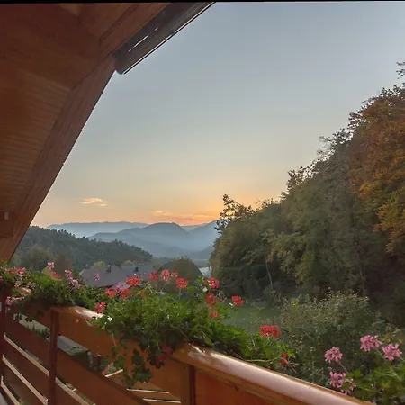 Fine Zirovnica