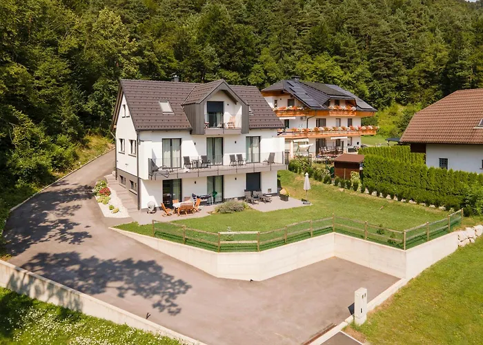 Fine דירה Zirovnica