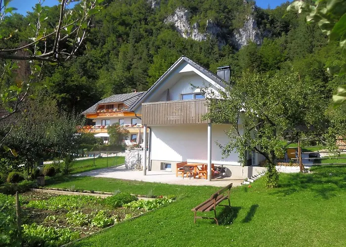 Fine דירה Zirovnica