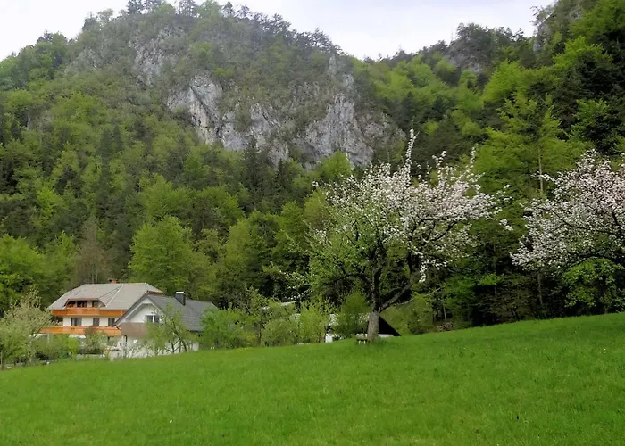 דירה Fine Zirovnica